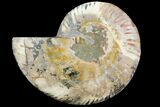 Agatized Ammonite Fossil (Half) - Madagascar #115325-1